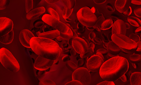 Картинка - Аутоімунна нейтропенія: сучасний погляд на діагностику та тактику ведення