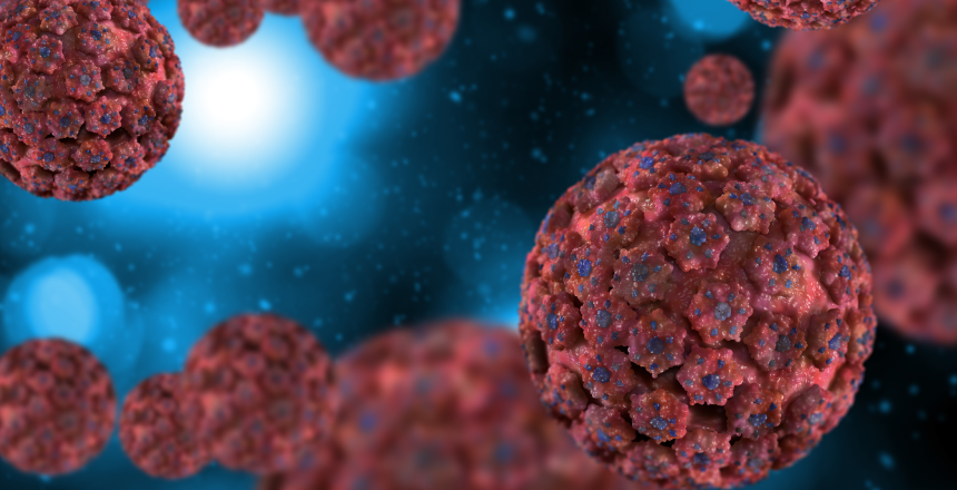 Фото - Вірус папіломи людини (ВПЛ)