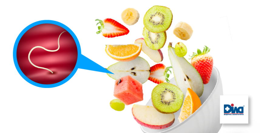 Фото - Гельминтозы: что делать в первую очередь?