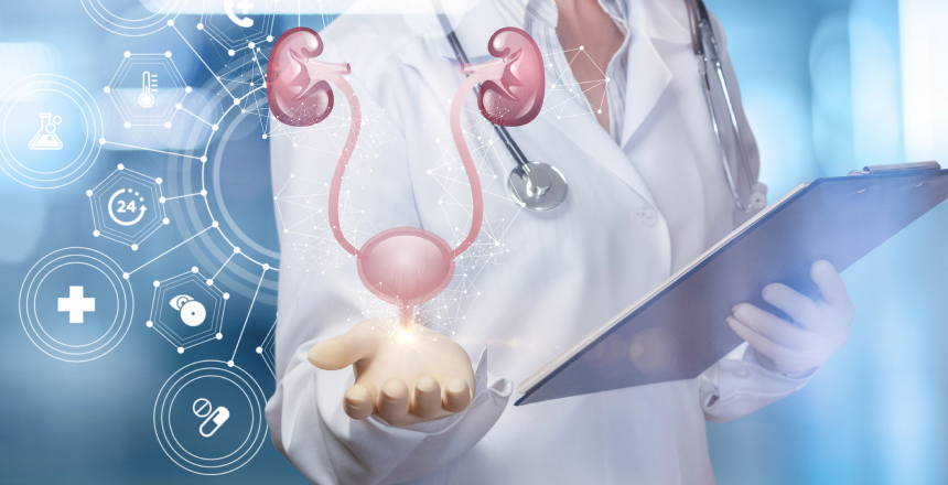 Фото - Креатинин в оценке функционального состояния почек