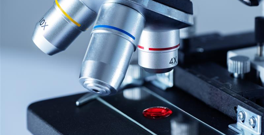 Фото - Гістологія та гістологічні дослідження