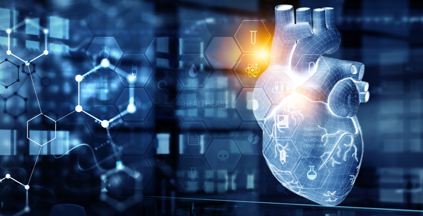 Фото - Серце людини