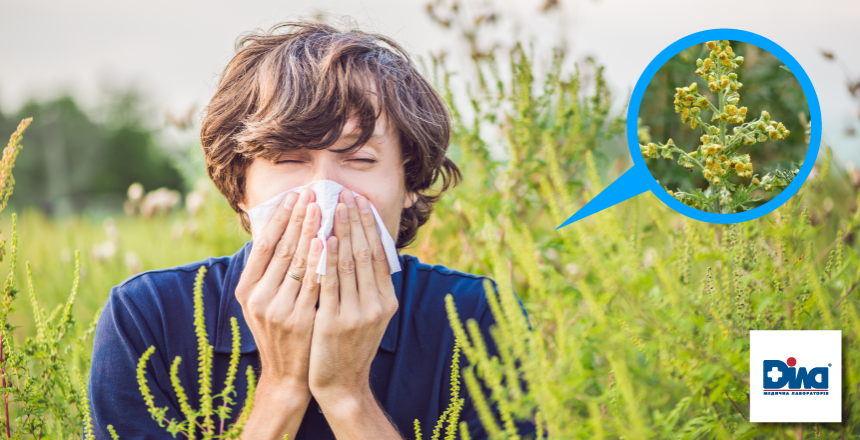 Фото - Опасные соседи. Диагностика аллергии на пыльцу амброзии и полыни 