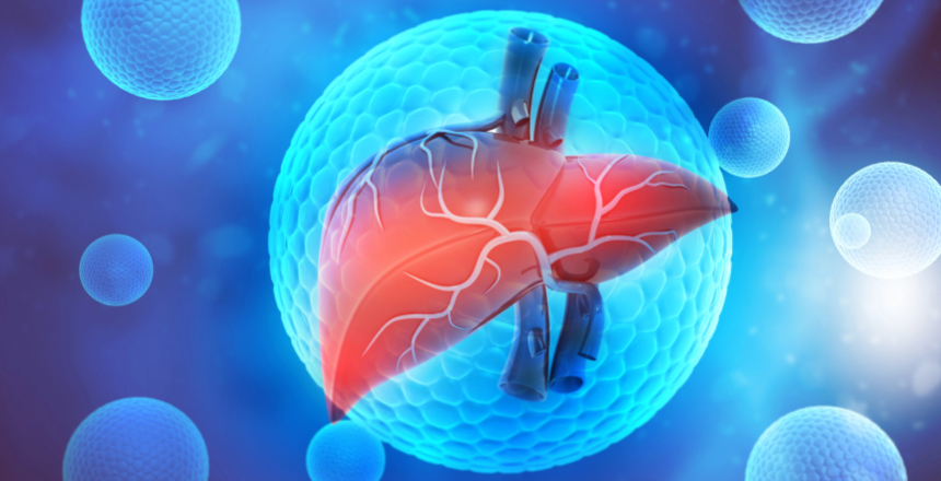 Фото - Гепатит А (хвороба Боткіна): симптоми, діагностика та лікування