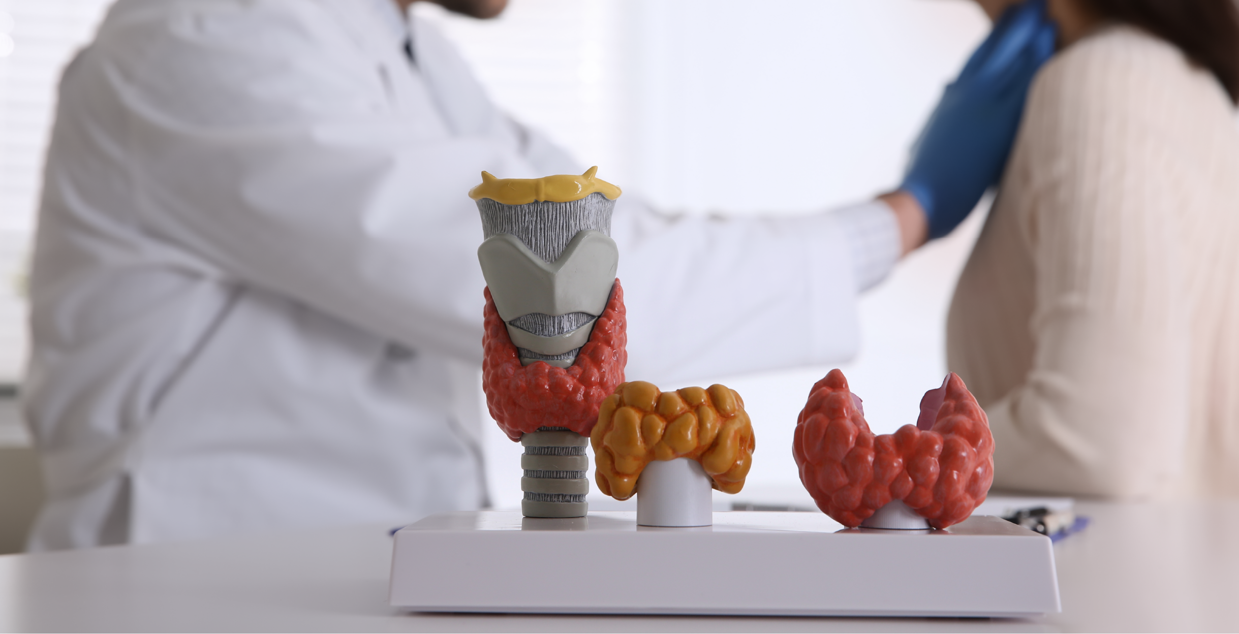 Фото - Гиперпаратиреоз – виды, последствия и современные алгоритмы ведения пациента 