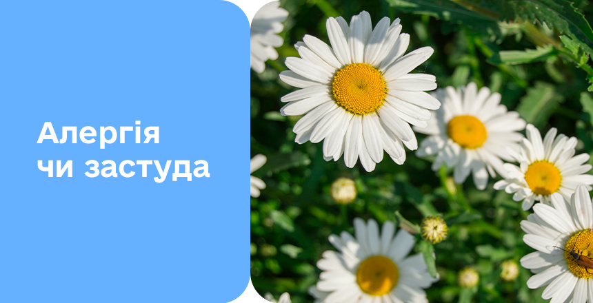 Фото - Алергія чи застуда? 5 ознак та швидка діагностика в Діла