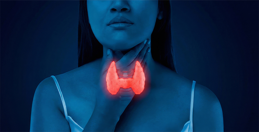 Фото - Дослідження вільних та загальних фракцій тиреоїдних гормонів, застосування препаратів Селену – актуальні рекомендації медичних керівництв