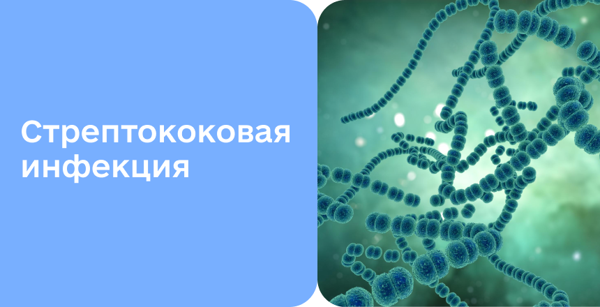 Фото - Стрептококковая инфекция: от симптомов к методам лечения